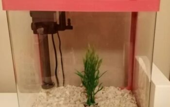 Fish Aquarium For Sale