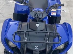 Yamaha Grizzly EPS 2010 For Sale