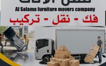 Professional Movers, Packers