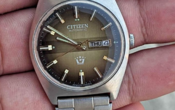 Rare Citizen Automatic Vintage Beauty Coffee Brown