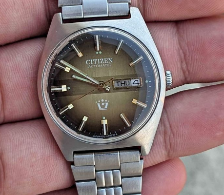 Rare Citizen Automatic Vintage Beauty Coffee Brown