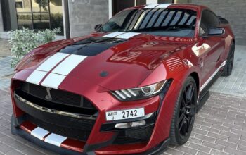 Ford Mustang GT500 Shelby 2020 imported