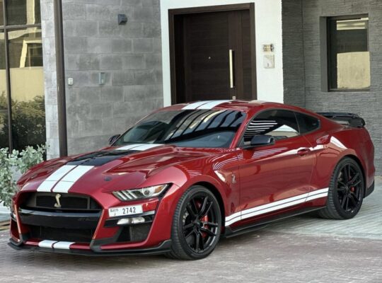 Ford Mustang GT500 Shelby 2020 imported