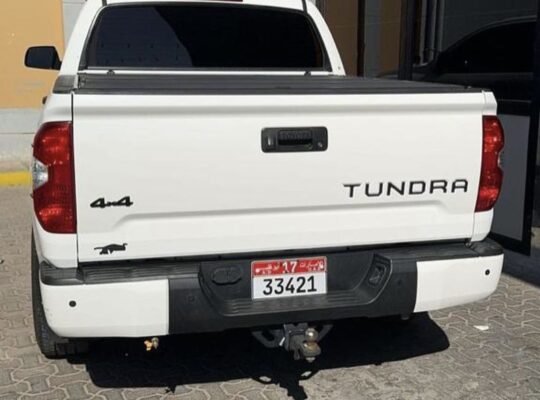 Toyota Tundra TRD pro 2019 4 door imported