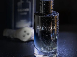 Salvage Perfume by Brandy For Men EDP 100 ml For S