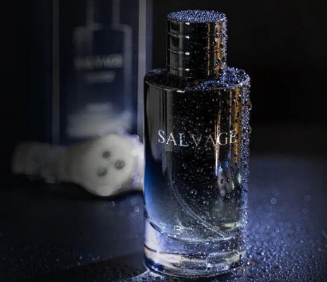 Salvage Perfume by Brandy For Men EDP 100 ml For S