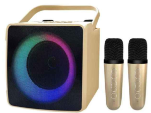 Sd 508 karaoke speaker For Sale