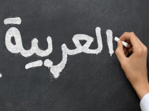 Arabic Language lady tutor
