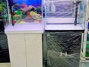 Aquarium 50cm Set For Sale