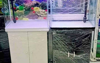 Aquarium 50cm Set For Sale