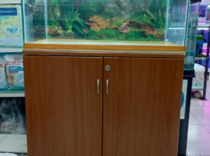 Aquarium 80cm For Sale