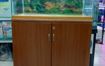 Aquarium 80cm For Sale