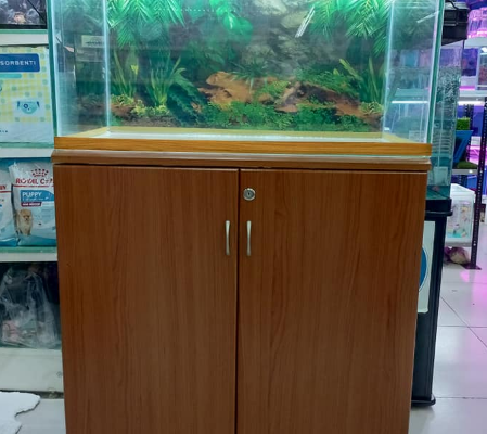 Aquarium 80cm For Sale