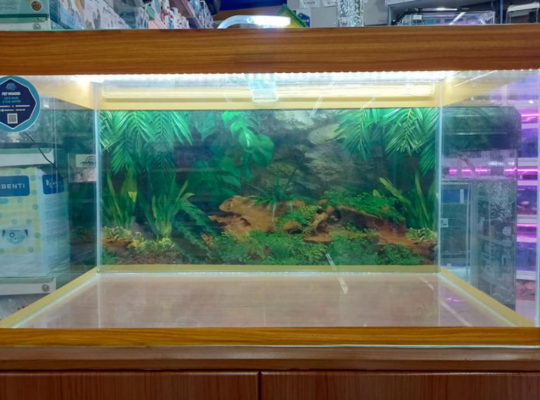 Aquarium 80cm For Sale