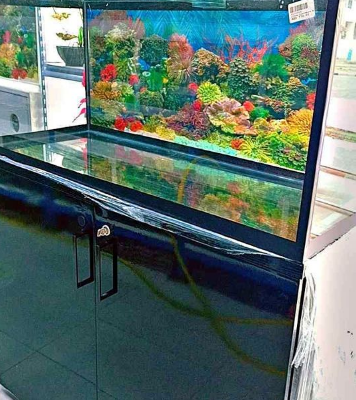 Aquarium glass 100cm