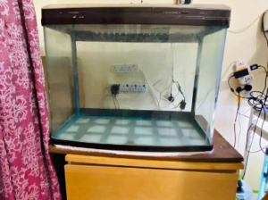 Fish Tank 80cm For Sale