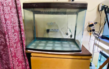 Fish Tank 80cm For Sale