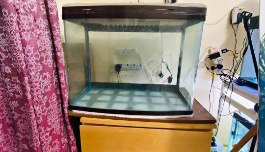 Fish Tank 80cm For Sale