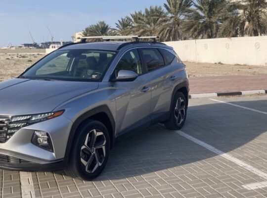Hyundai Tucson 2022 imported full option