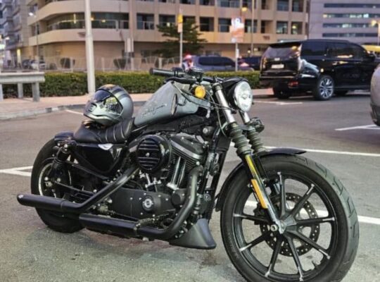 Motorcycle Harley-Davidson Sportster 883