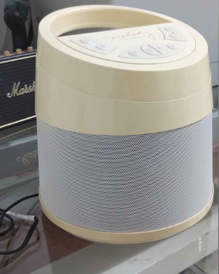 Soundcast MLD414 Melody Speaker For Sale