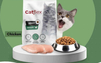 CATFLEX Dry Food For Sale