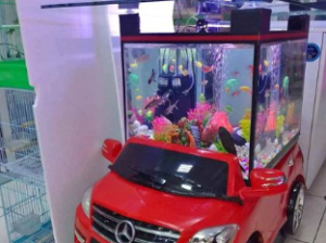 Car aquarium For Sale