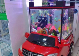 Car aquarium For Sale