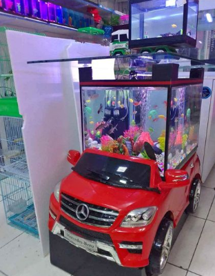 Car aquarium For Sale