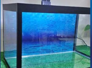 Customized Glass Aquarium For Sale