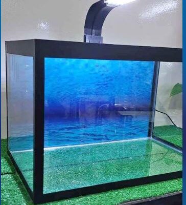Customized Glass Aquarium For Sale