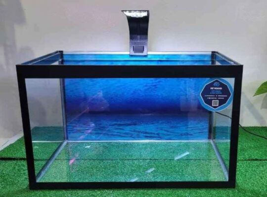 Customized Glass Aquarium For Sale