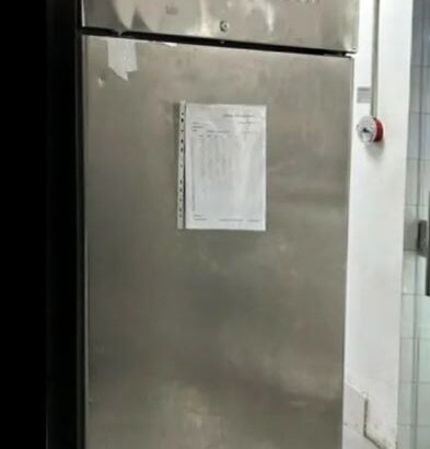 FREEZER SINGLE DOOR For Sale