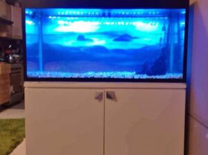 Classic Smart Aquarium Fo Sale