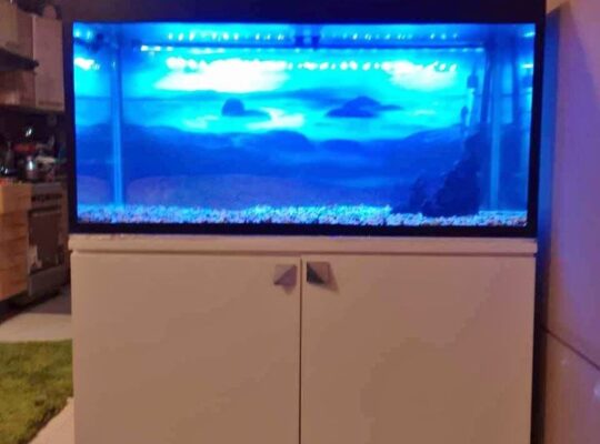 Classic Smart Aquarium Fo Sale