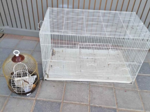 Cage and stand for bird for sale