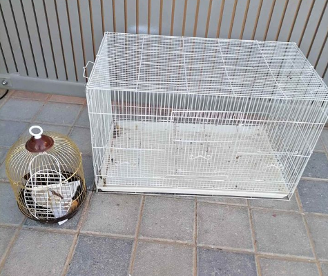 Cage and stand for bird for sale