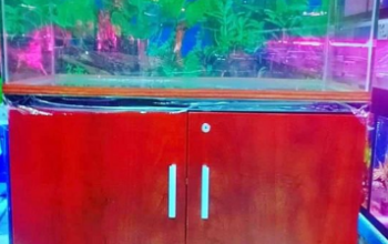 Crystal glass 80cm aquarium for sale