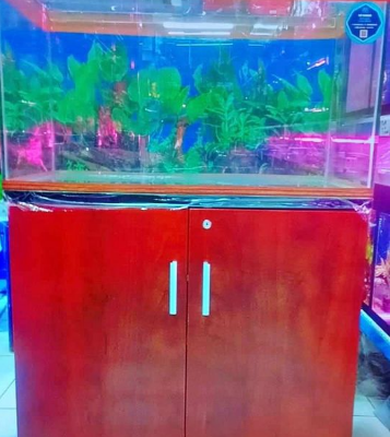 Crystal glass 80cm aquarium for sale