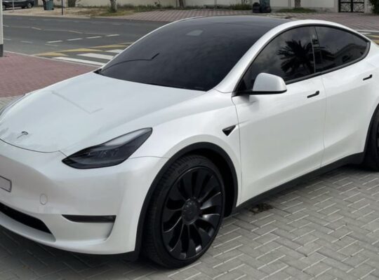 Tesla model Y full option performance 2023 for sal