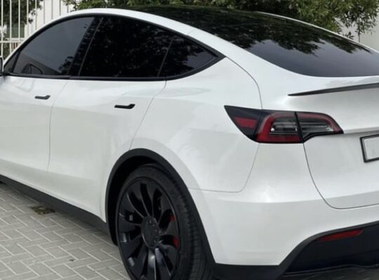 Tesla model Y full option performance 2023 for sal