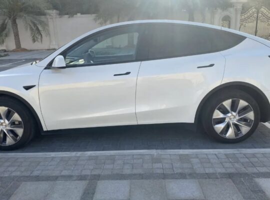 Tesla Model Y long range 2024 Gcc for Sale