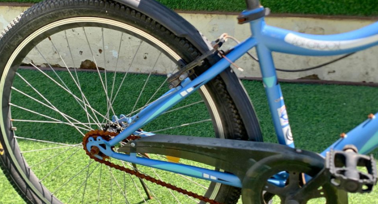 Mogoo Bicycle For Sale