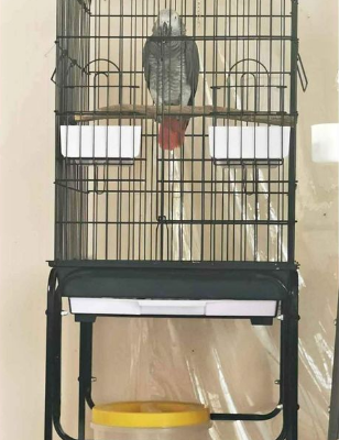 New cage for sale