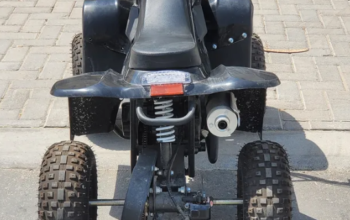 beach buggy 2024 for sale