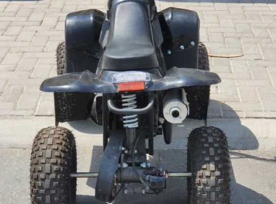 beach buggy 2024 for sale