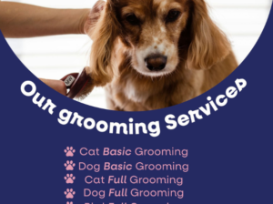 Unleash the best grooming services for your furry