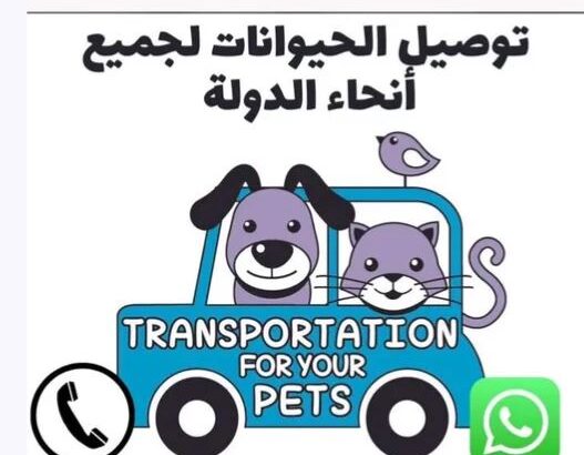 مندوب توصيل حيوانات
