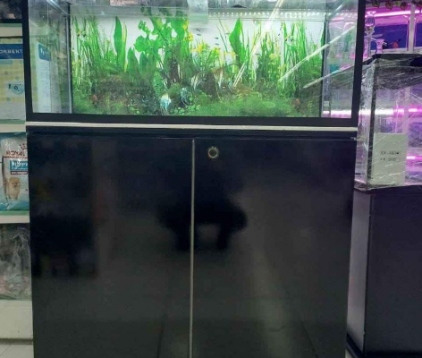 Brand new 80cm Fish Aquarium For Sale