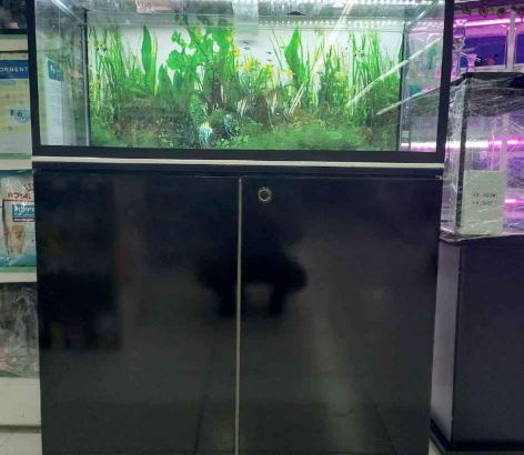 Brand new 80cm Fish Aquarium For Sale